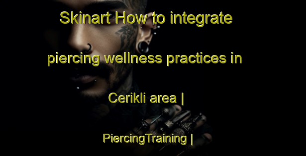 Skinart How to integrate piercing wellness practices in Cerikli area | PiercingTraining | PiercingClasses | SkinartTraining-Turkey